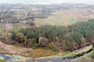 Земельна ділянка сільськогосподарського призначення в Пісках-Удайських, площа 40 соток фото 2