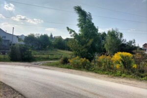 Земельна ділянка сільськогосподарського призначення в Петрикові, площа 12 соток фото 2