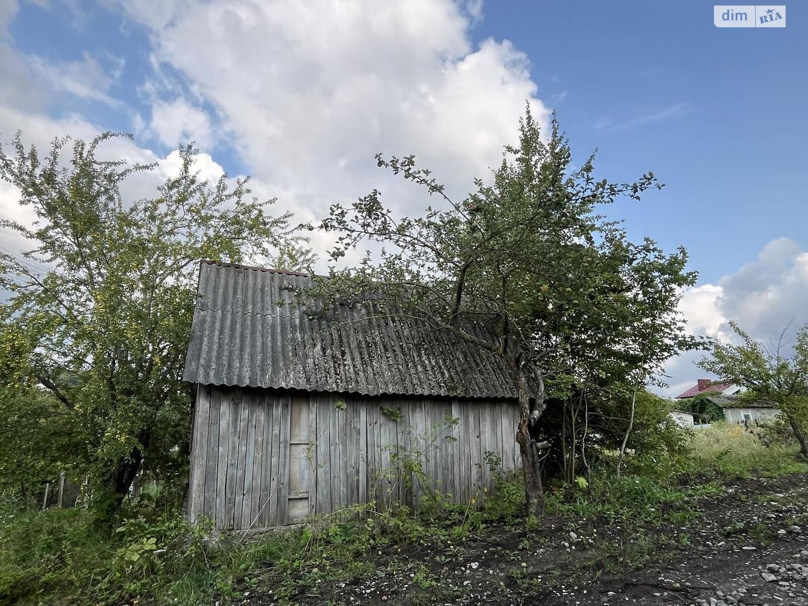 Земельна ділянка сільськогосподарського призначення в Петрикові, площа 6 соток фото 1