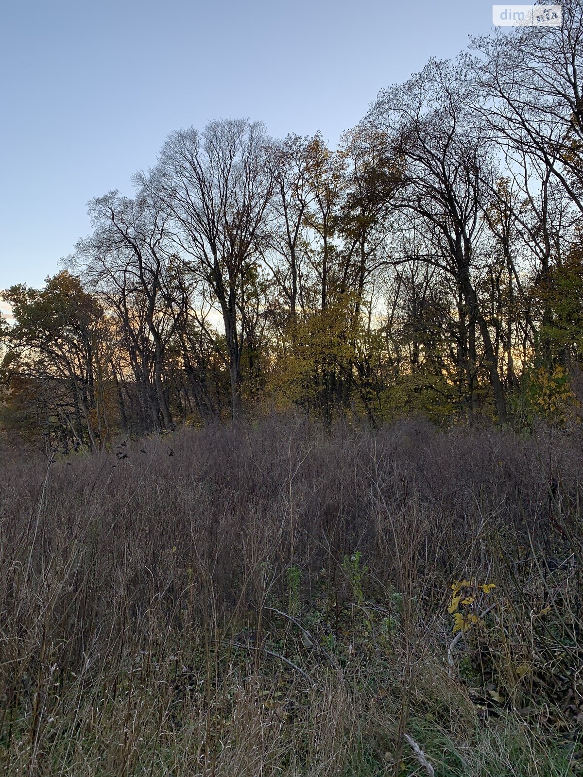 Земельный участок сельскохозяйственного назначения в Петрикове, площадь 6.2 сотки фото 1 Земельный участок сельскохозяйственного назначения в Петрикове, площадь 6.2 сотки фото 1