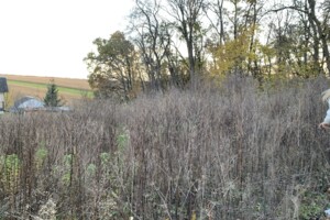 Земельный участок сельскохозяйственного назначения в Петрикове, площадь 6.2 сотки фото 2 Земельный участок сельскохозяйственного назначения в Петрикове, площадь 6.2 сотки фото 2