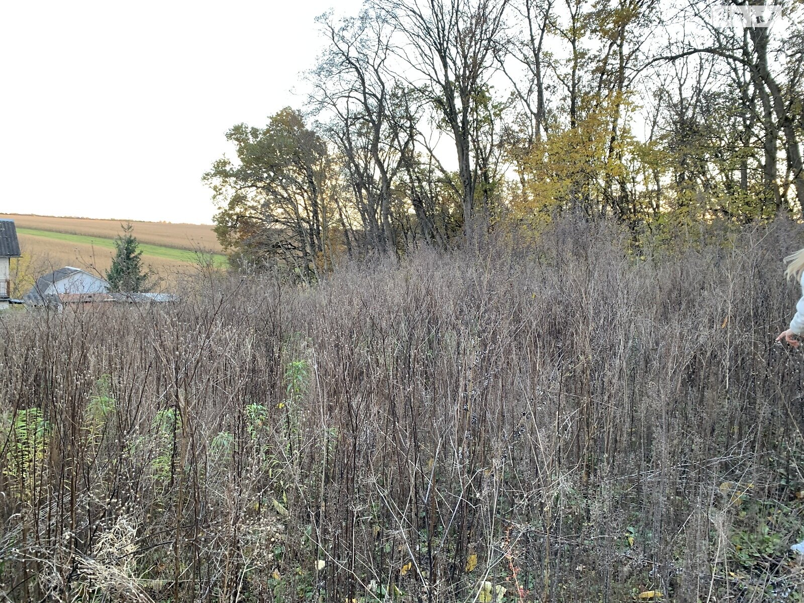 Земельный участок сельскохозяйственного назначения в Петрикове, площадь 6.2 сотки фото 1 Земельный участок сельскохозяйственного назначения в Петрикове, площадь 6.2 сотки фото 1