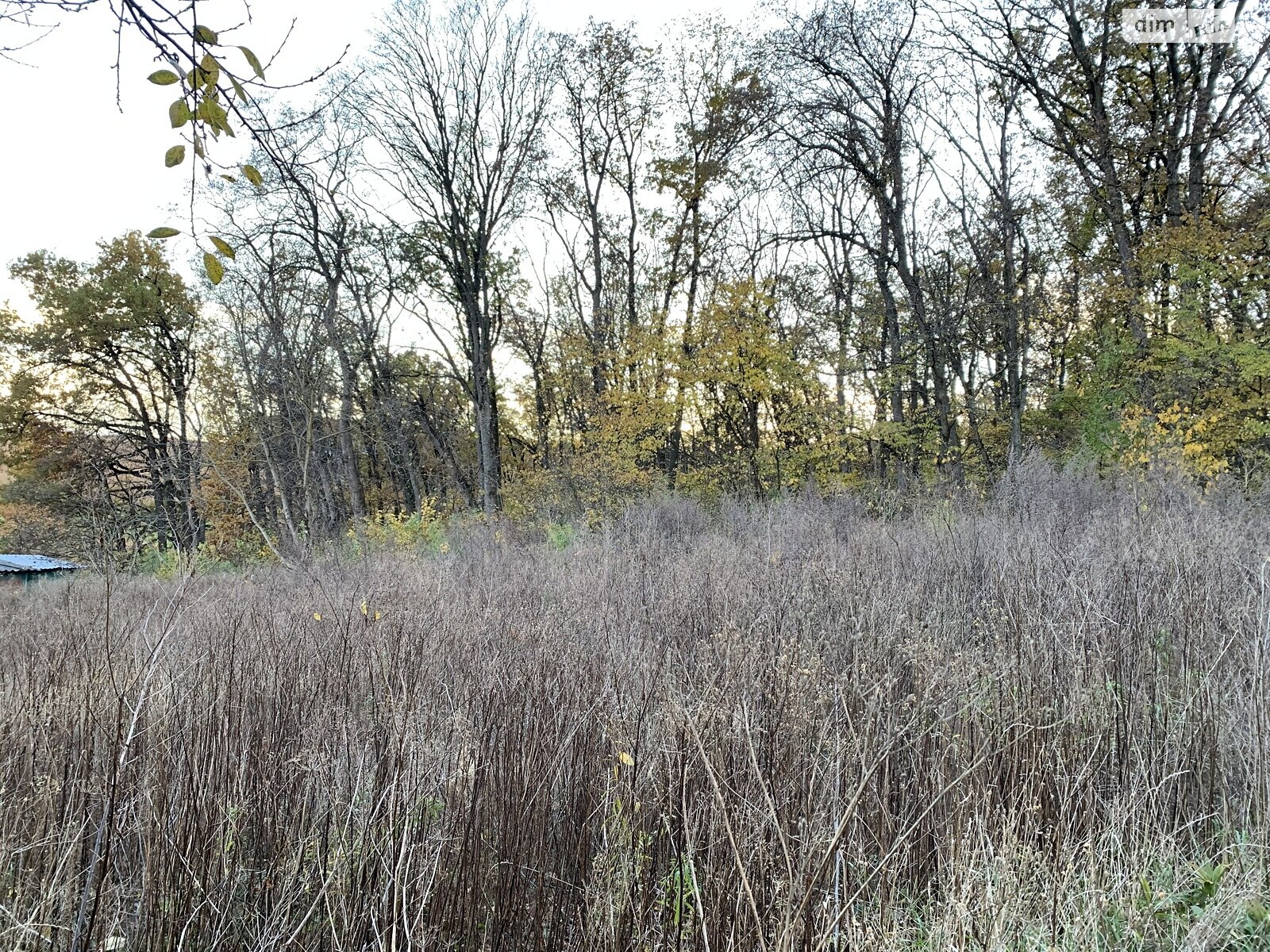 Земельный участок сельскохозяйственного назначения в Петрикове, площадь 6.2 сотки фото 1 Земельный участок сельскохозяйственного назначения в Петрикове, площадь 6.2 сотки фото 1