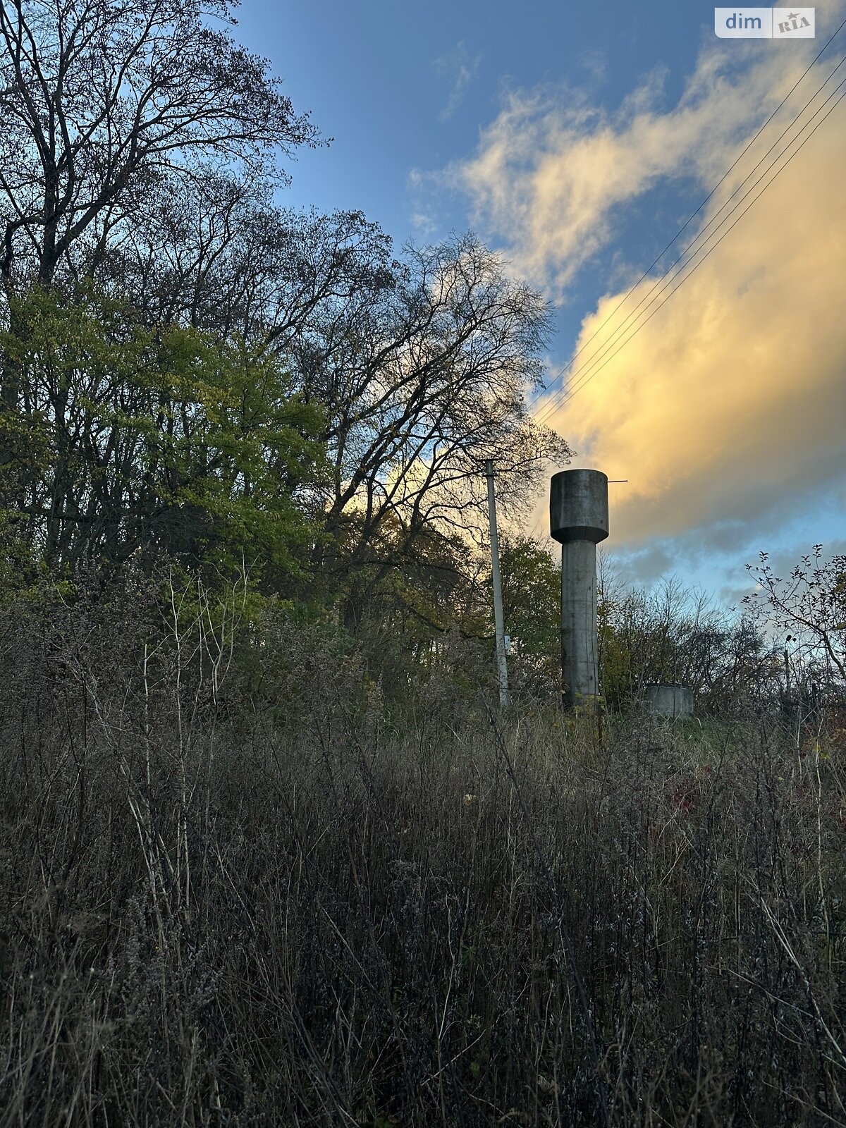Земельный участок сельскохозяйственного назначения в Петрикове, площадь 7 соток фото 1 Земельный участок сельскохозяйственного назначения в Петрикове, площадь 7 соток фото 1