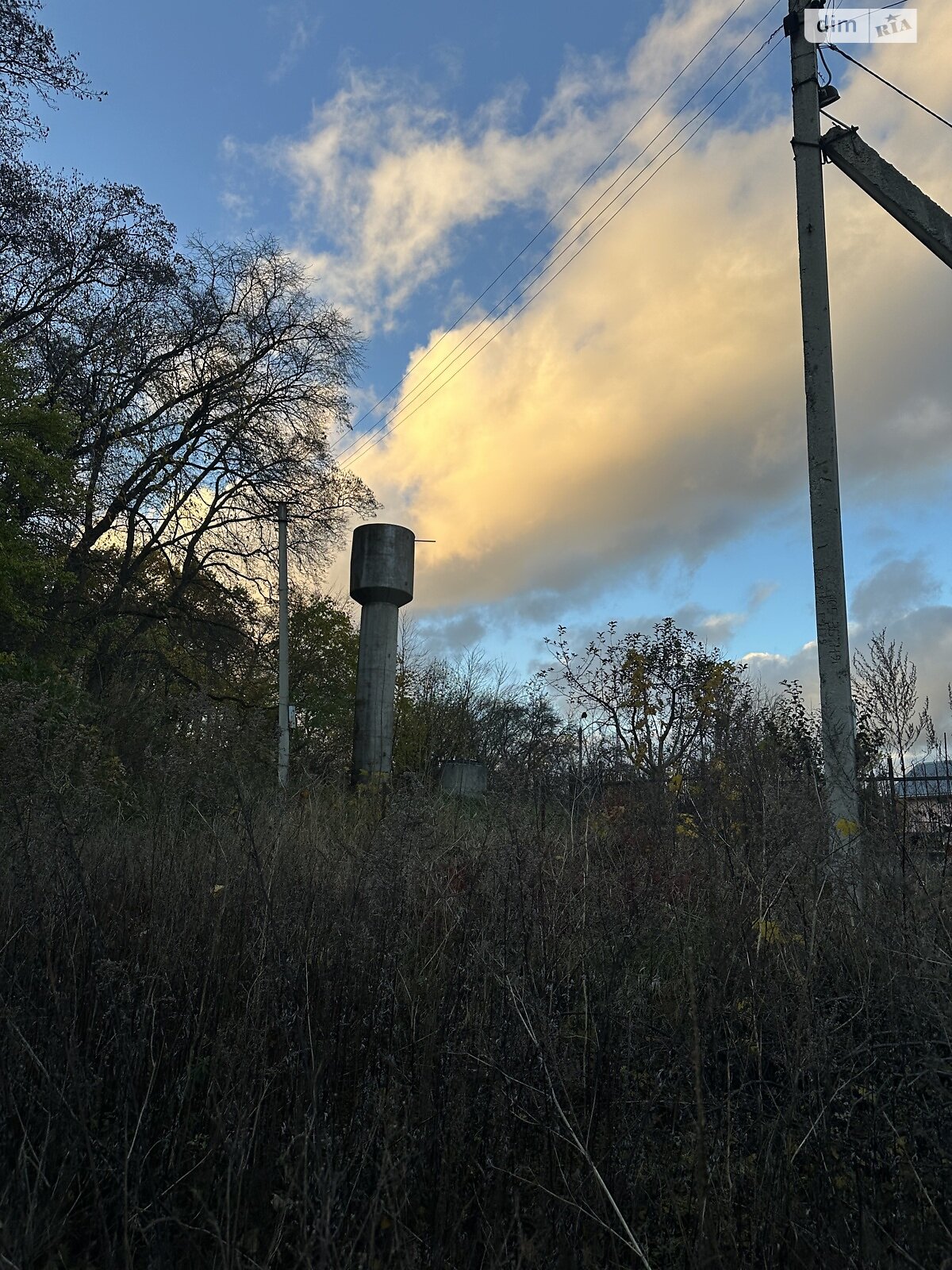 Земельный участок сельскохозяйственного назначения в Петрикове, площадь 7 соток фото 1 Земельный участок сельскохозяйственного назначения в Петрикове, площадь 7 соток фото 1