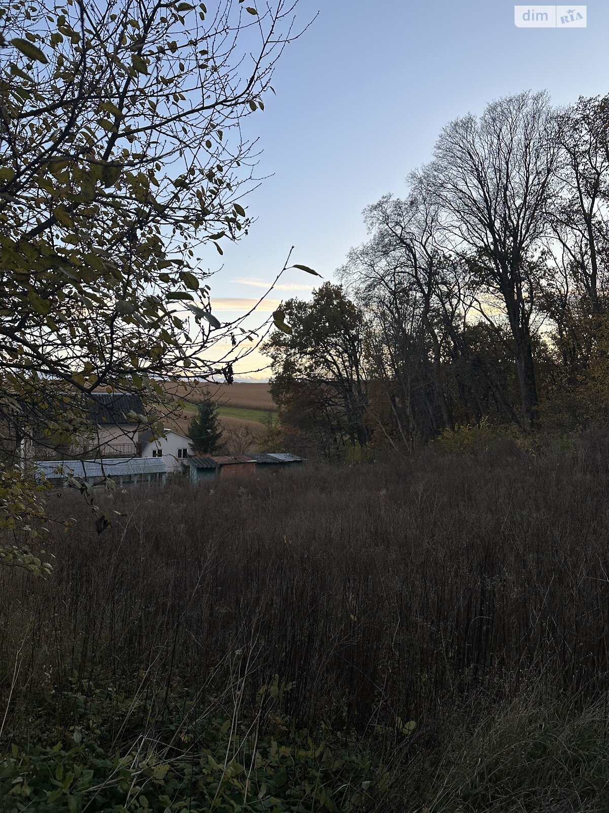 Земельный участок сельскохозяйственного назначения в Петрикове, площадь 7 соток фото 1 Земельный участок сельскохозяйственного назначения в Петрикове, площадь 7 соток фото 1