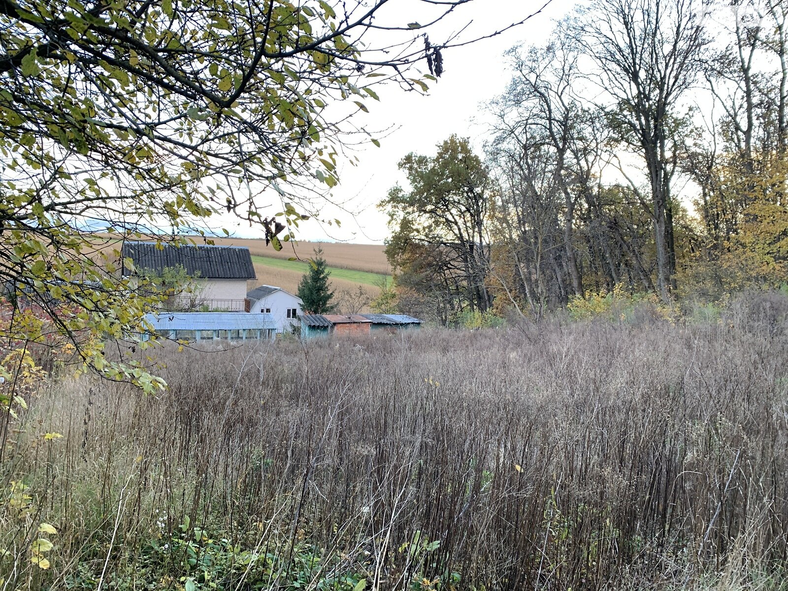 Земельный участок сельскохозяйственного назначения в Петрикове, площадь 6.2 сотки фото 1 Земельный участок сельскохозяйственного назначения в Петрикове, площадь 6.2 сотки фото 1