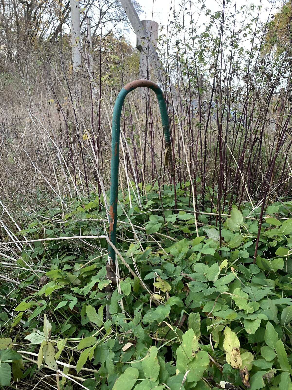 Земельный участок сельскохозяйственного назначения в Петрикове, площадь 6.2 сотки фото 1 Земельный участок сельскохозяйственного назначения в Петрикове, площадь 6.2 сотки фото 1