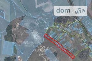 Земельна ділянка сільськогосподарського призначення в Сотницьке, площа 1 Га фото 1