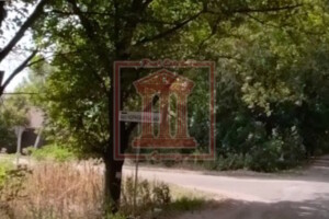 Земельна ділянка сільськогосподарського призначення в Петропавлівському, площа 24 сотки фото 2