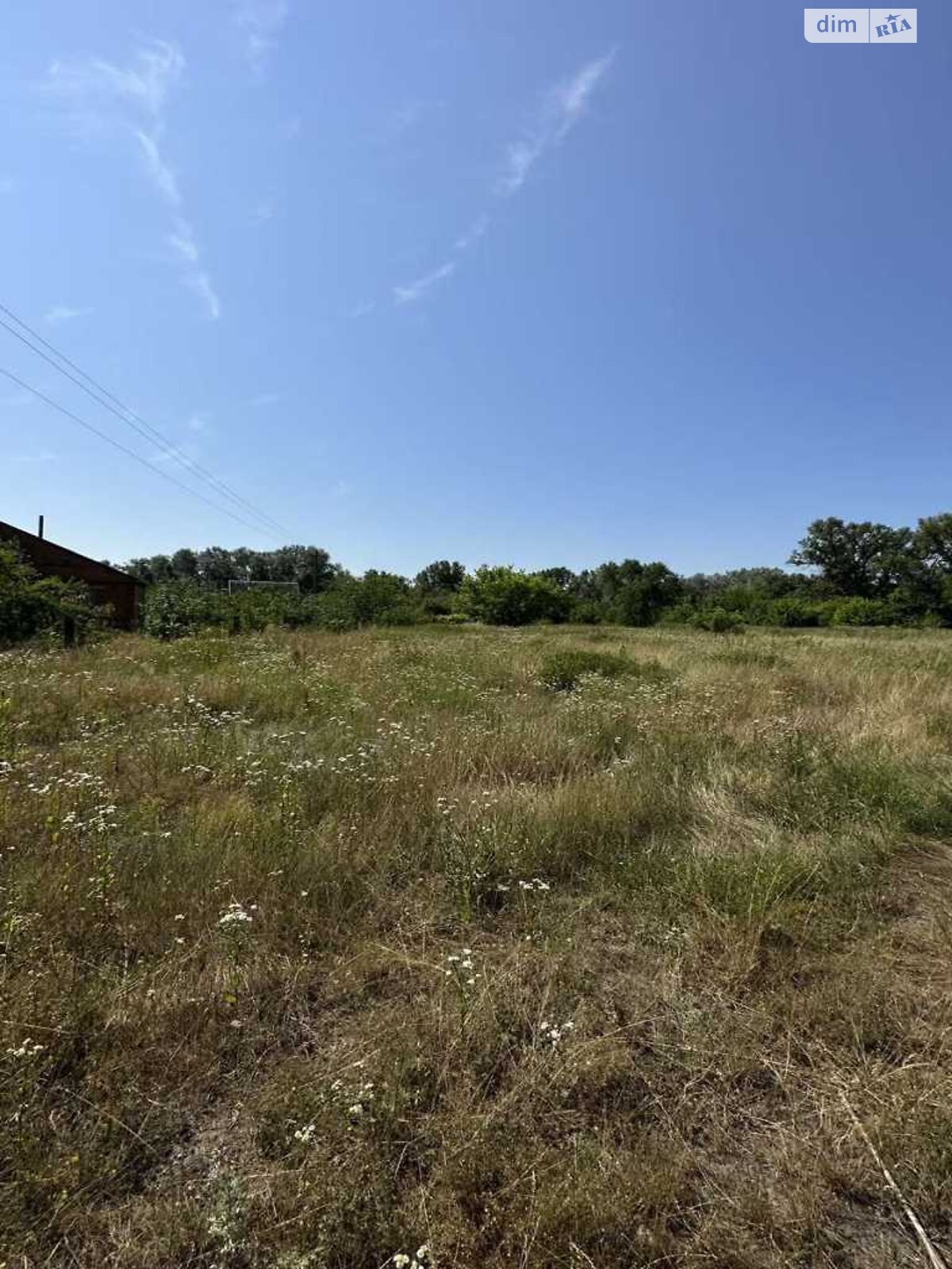 Земельна ділянка сільськогосподарського призначення в Петрівці, площа 12 соток фото 1