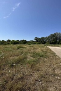 Земельна ділянка сільськогосподарського призначення в Петрівці, площа 12 соток фото 2