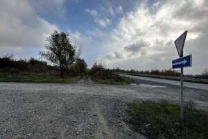 Земельна ділянка сільськогосподарського призначення в Підгорбі, площа 10 соток фото 2