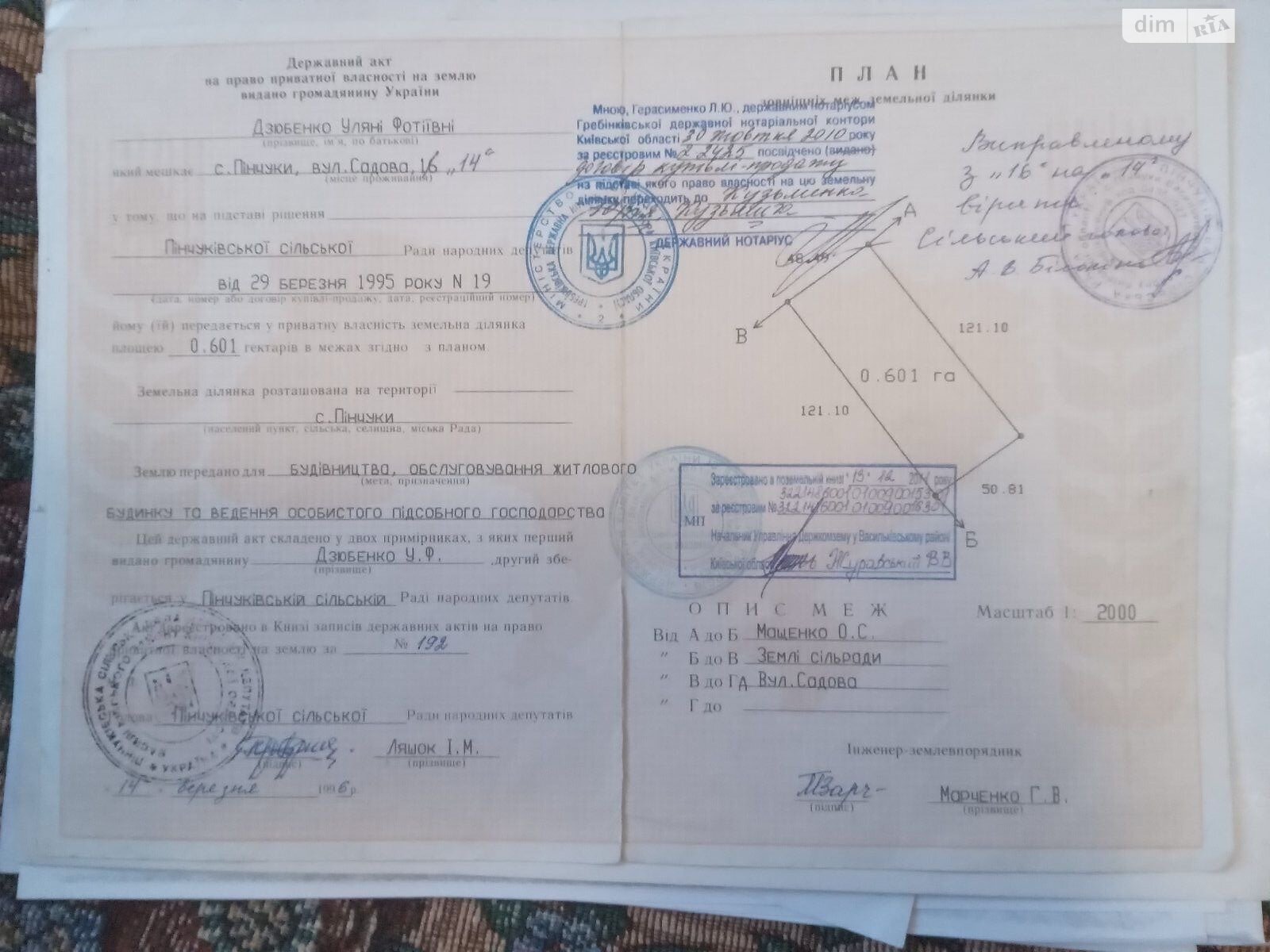 Земельный участок сельскохозяйственного назначения в Пинчуках, площадь 60 соток фото 1 Земельный участок сельскохозяйственного назначения в Пинчуках, площадь 60 соток фото 1