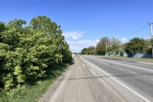 Земельна ділянка сільськогосподарського призначення в Пирогівцях, площа 34 сотки фото 2