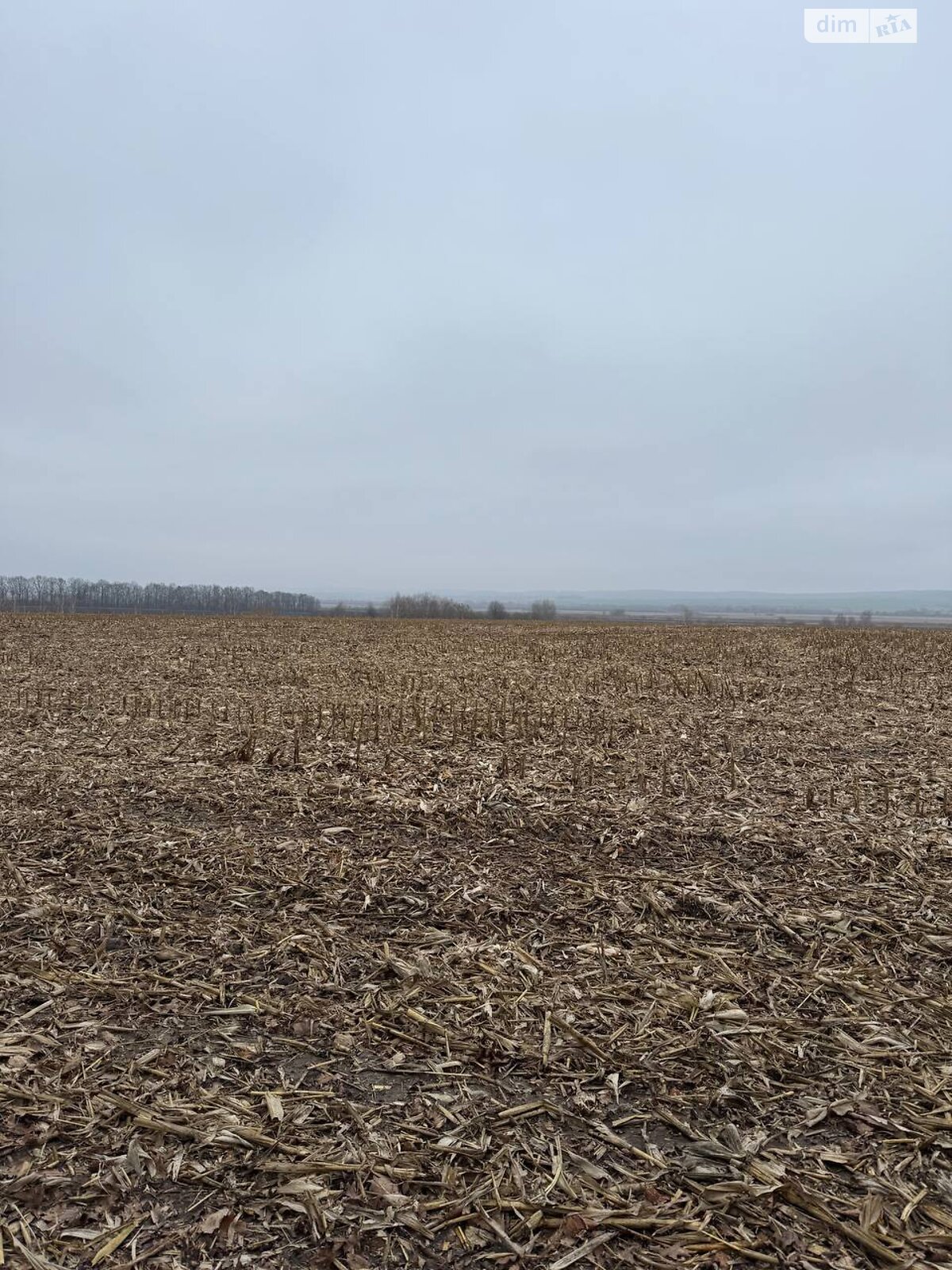 Земельный участок сельскохозяйственного назначения в Пироговцах, площадь 100 соток фото 1 Земельный участок сельскохозяйственного назначения в Пироговцах, площадь 100 соток фото 1
