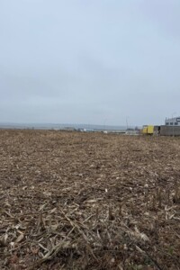 Земельный участок сельскохозяйственного назначения в Пироговцах, площадь 100 соток фото 2 Земельный участок сельскохозяйственного назначения в Пироговцах, площадь 100 соток фото 2