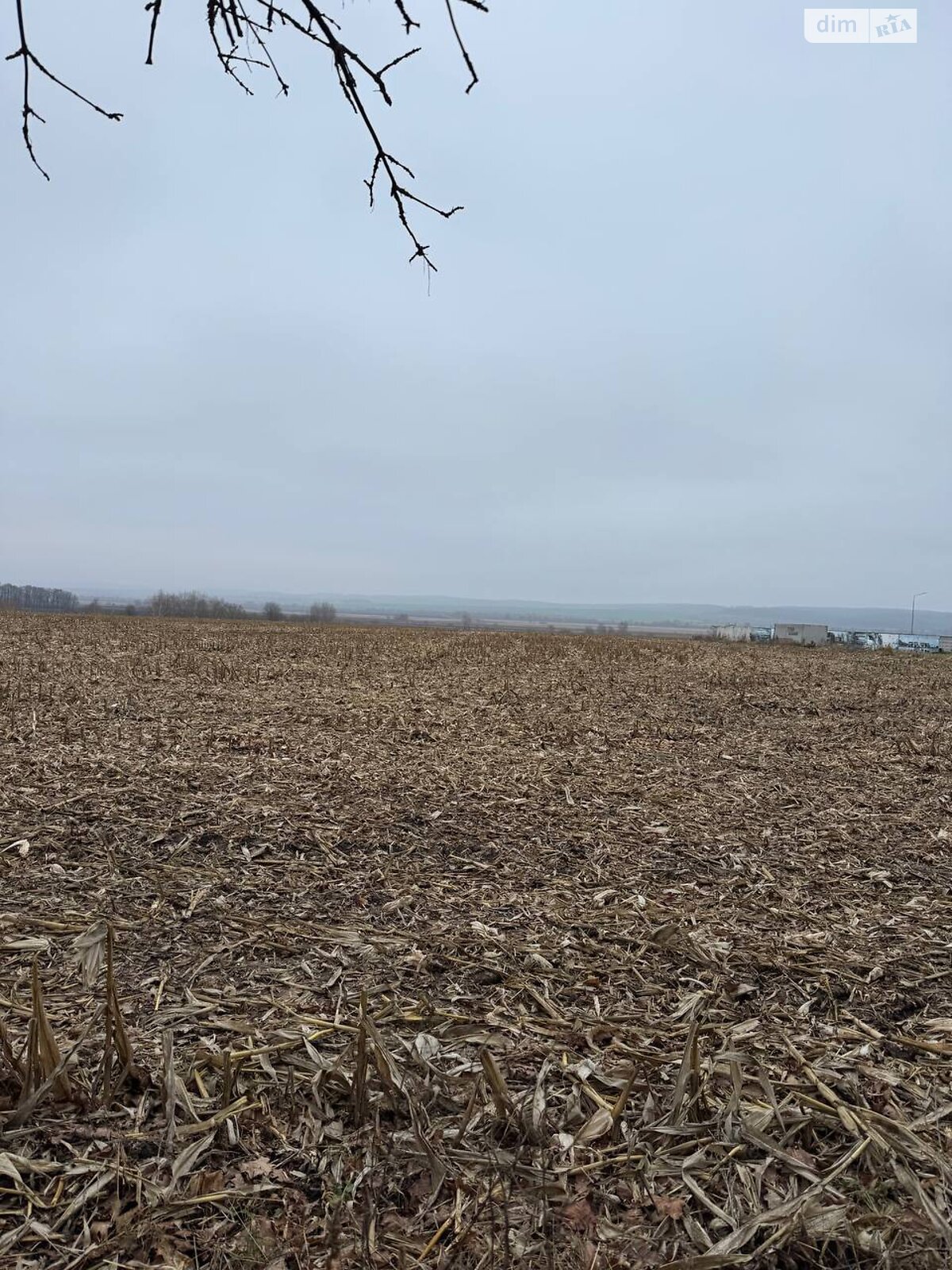 Земельный участок сельскохозяйственного назначения в Пироговцах, площадь 100 соток фото 1 Земельный участок сельскохозяйственного назначения в Пироговцах, площадь 100 соток фото 1