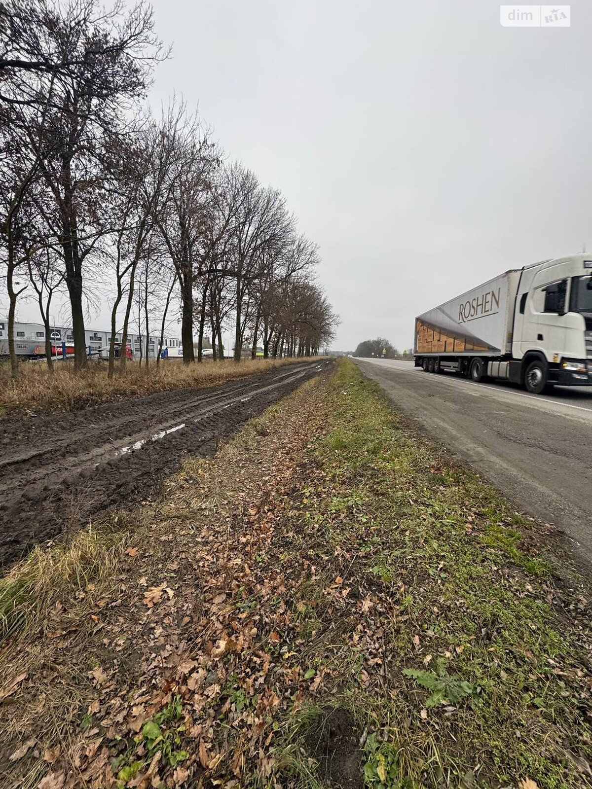 Земельный участок сельскохозяйственного назначения в Пироговцах, площадь 100 соток фото 1 Земельный участок сельскохозяйственного назначения в Пироговцах, площадь 100 соток фото 1
