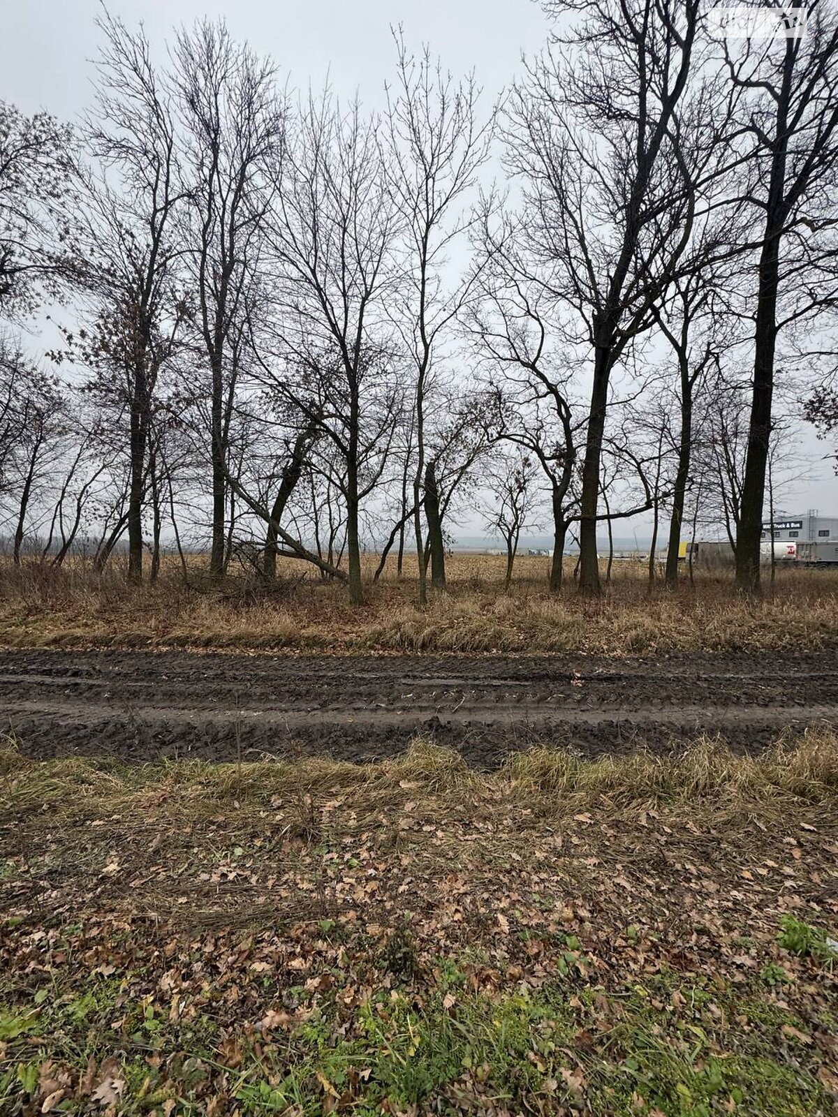 Земельный участок сельскохозяйственного назначения в Пироговцах, площадь 100 соток фото 1 Земельный участок сельскохозяйственного назначения в Пироговцах, площадь 100 соток фото 1