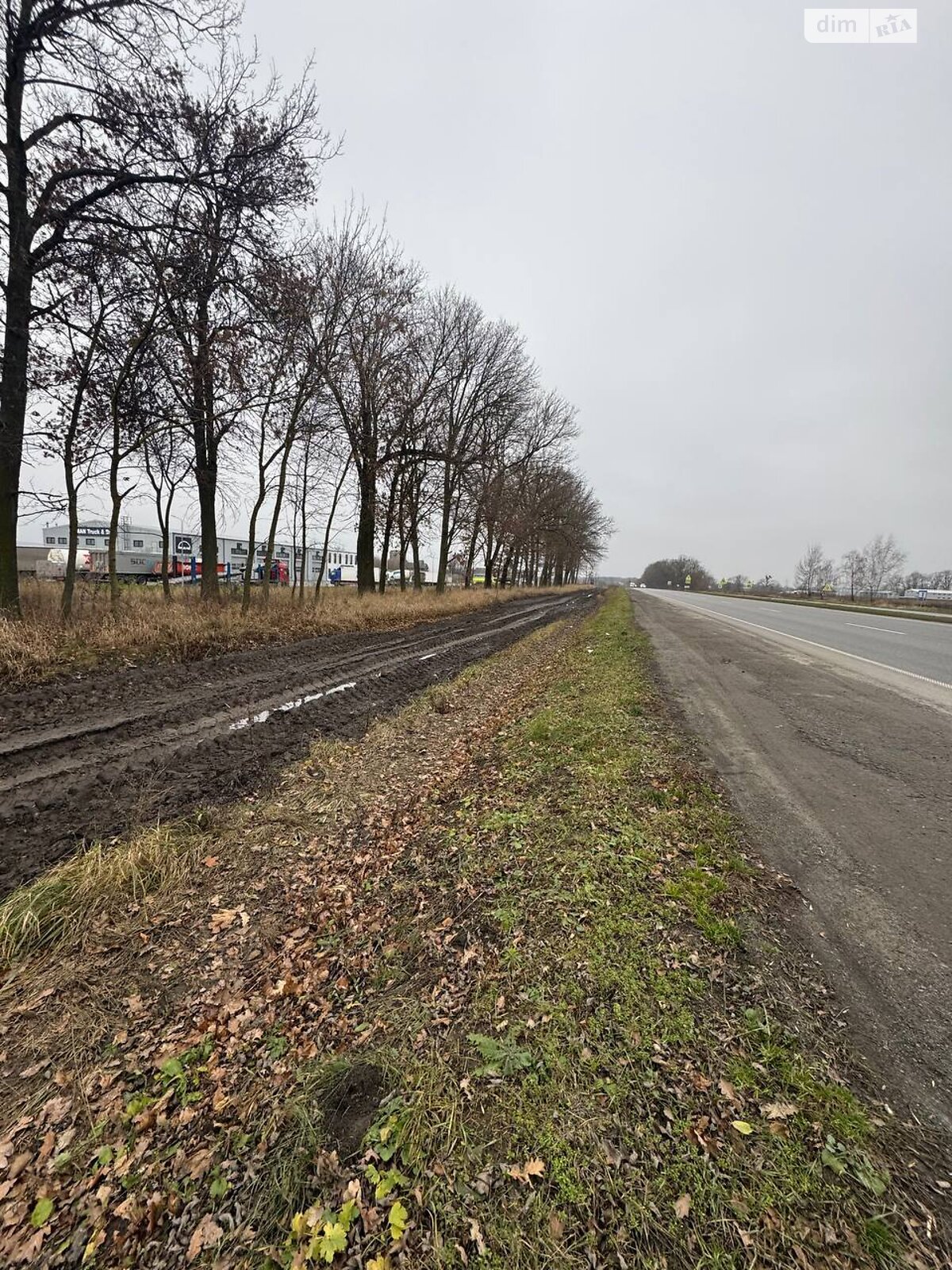 Земельный участок сельскохозяйственного назначения в Пироговцах, площадь 100 соток фото 1 Земельный участок сельскохозяйственного назначения в Пироговцах, площадь 100 соток фото 1