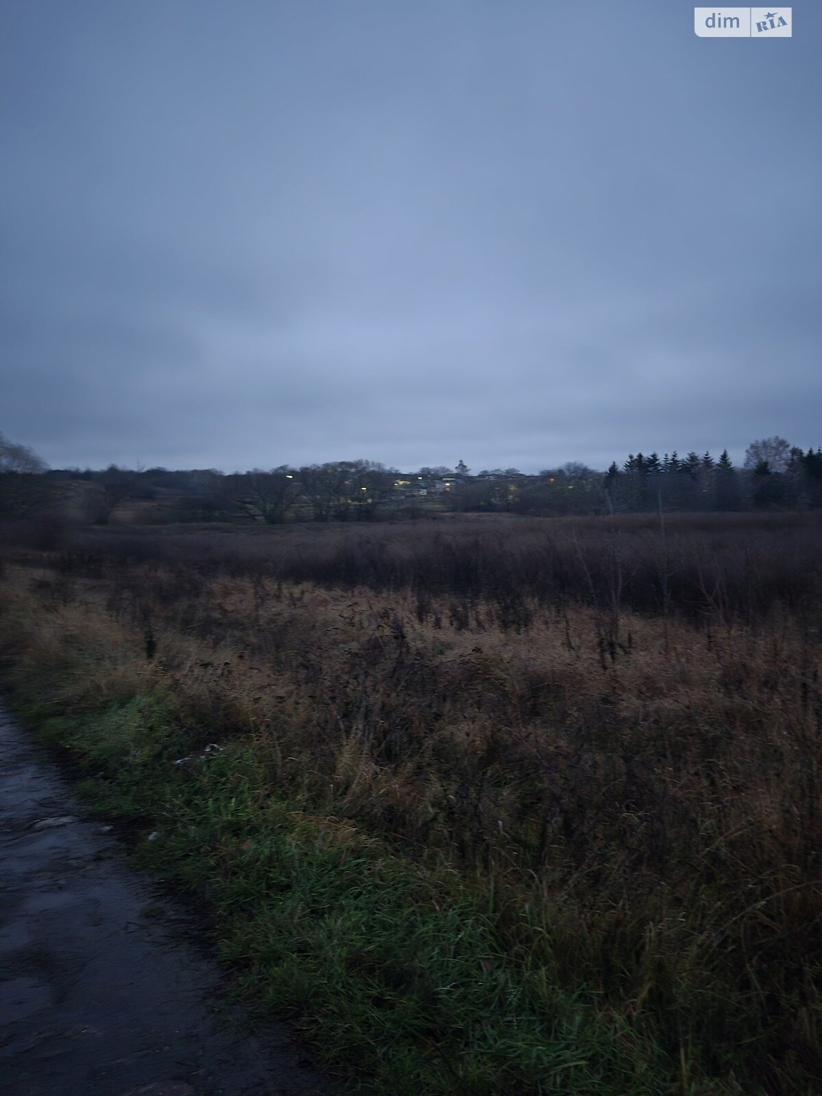Земельный участок сельскохозяйственного назначения в Писаревке, площадь 40 соток фото 1 Земельный участок сельскохозяйственного назначения в Писаревке, площадь 40 соток фото 1