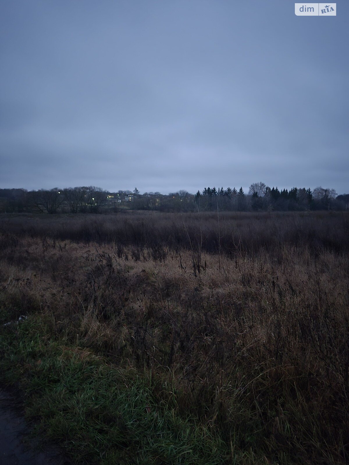 Земельный участок сельскохозяйственного назначения в Писаревке, площадь 40 соток фото 1 Земельный участок сельскохозяйственного назначения в Писаревке, площадь 40 соток фото 1