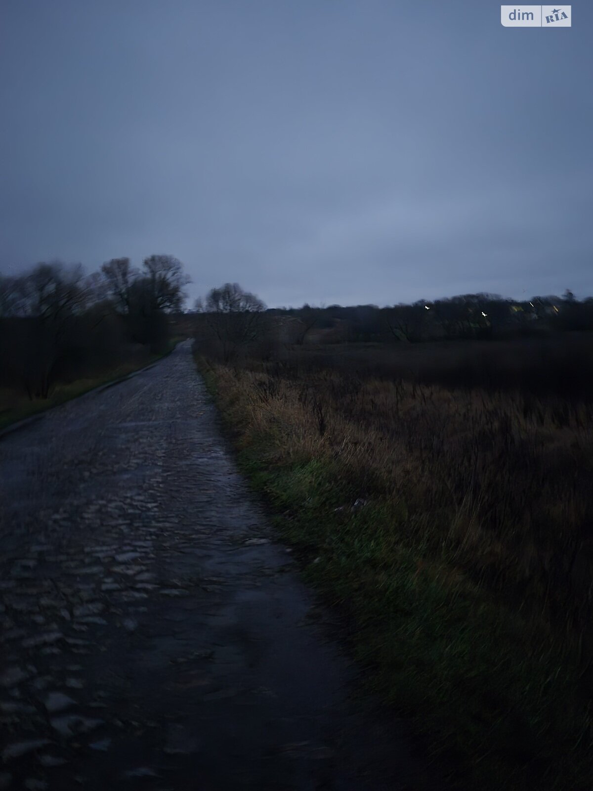 Земельный участок сельскохозяйственного назначения в Писаревке, площадь 40 соток фото 1 Земельный участок сельскохозяйственного назначения в Писаревке, площадь 40 соток фото 1