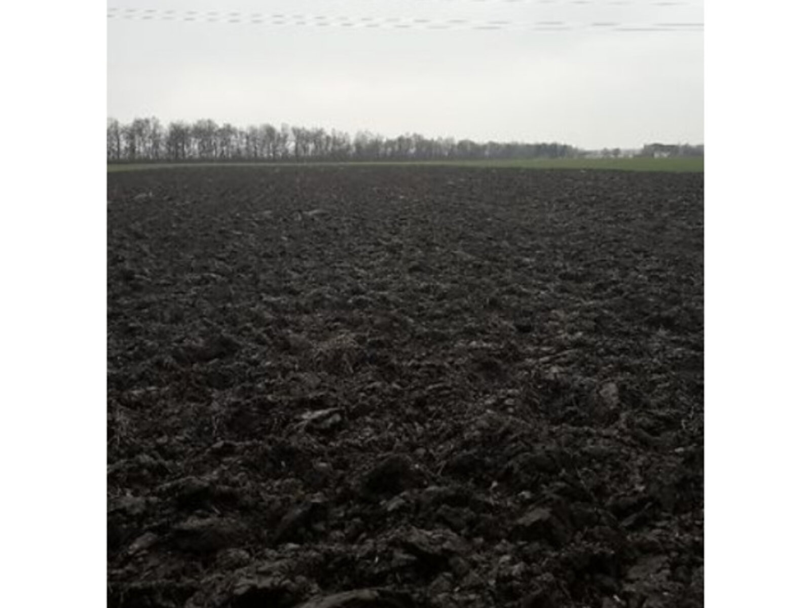 Земельный участок сельскохозяйственного назначения в Писаревке, площадь 1.6 Га фото 1