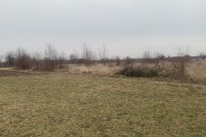 Земельный участок сельскохозяйственного назначения в Писаревке, площадь 16 соток фото 2
