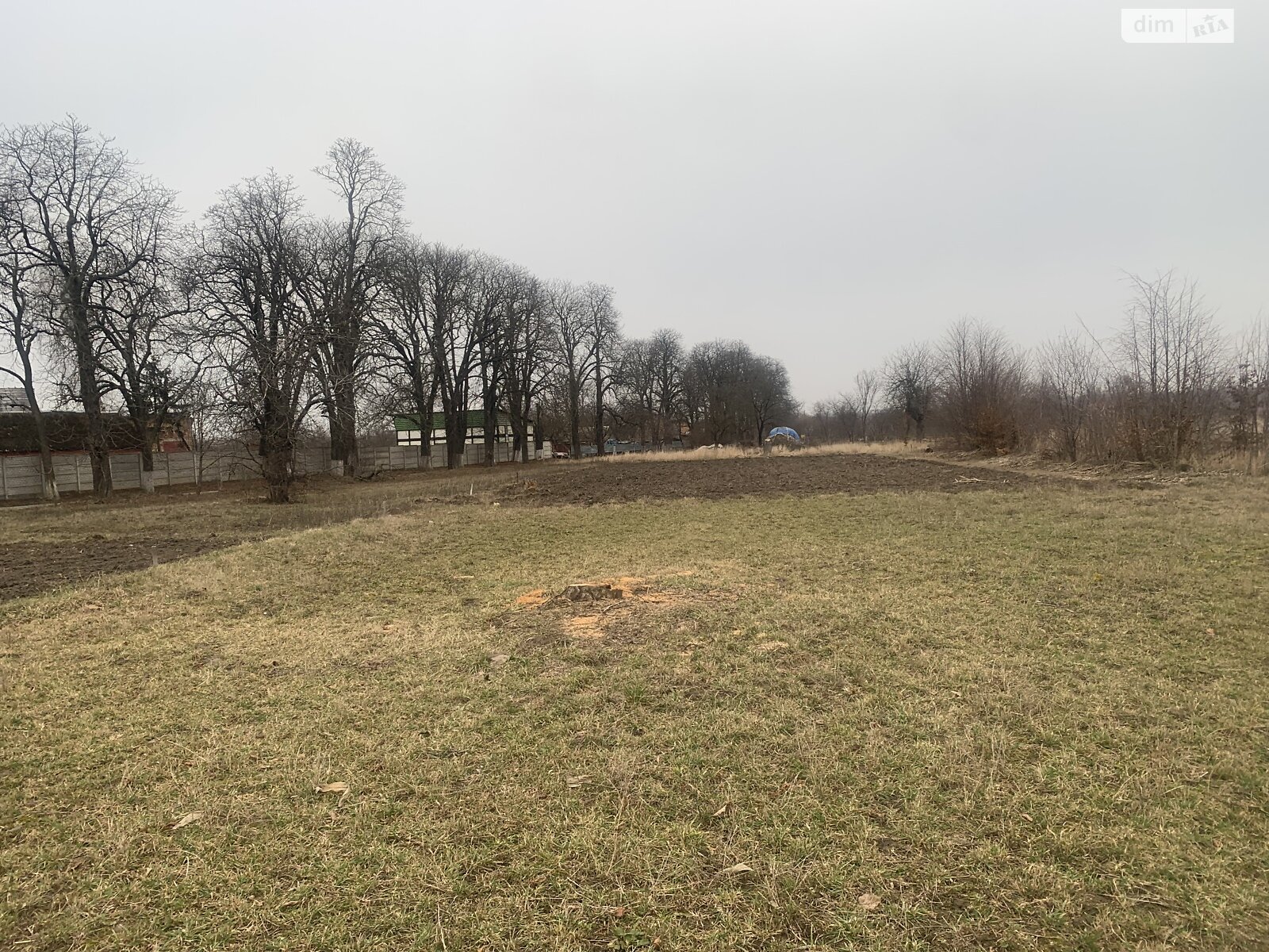 Земельный участок сельскохозяйственного назначения в Писаревке, площадь 16 соток фото 1