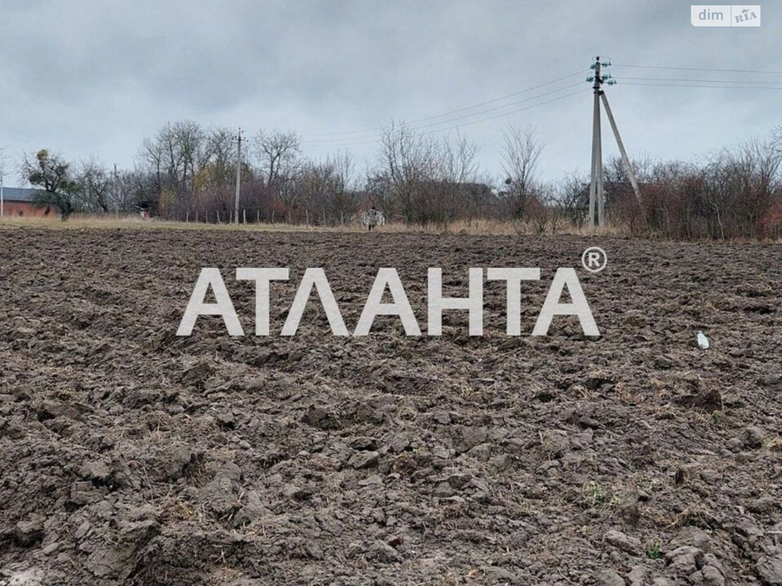 Земельный участок сельскохозяйственного назначения в Писаревке, площадь 17 соток фото 1