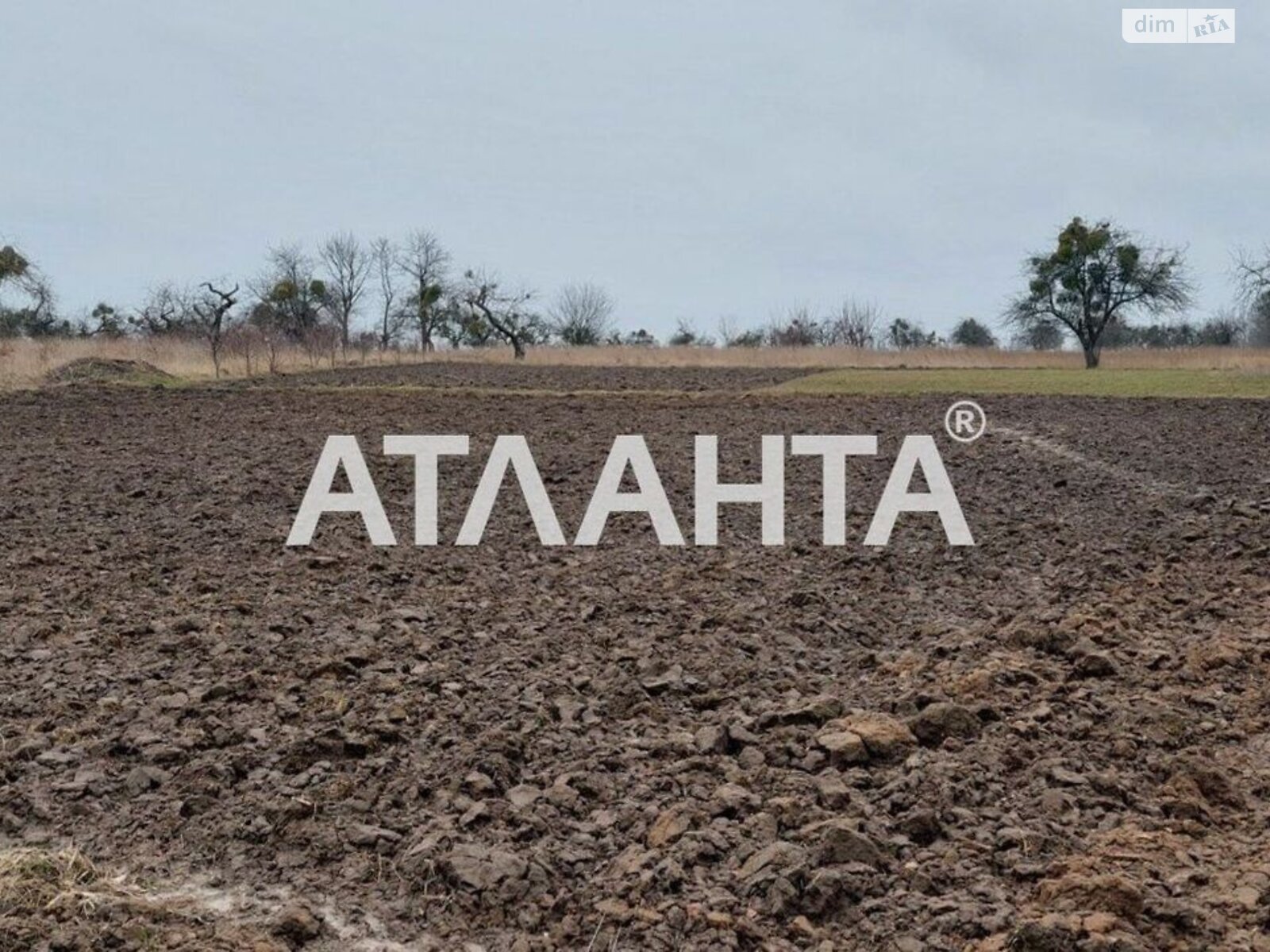 Земельный участок сельскохозяйственного назначения в Писаревке, площадь 17 соток фото 1