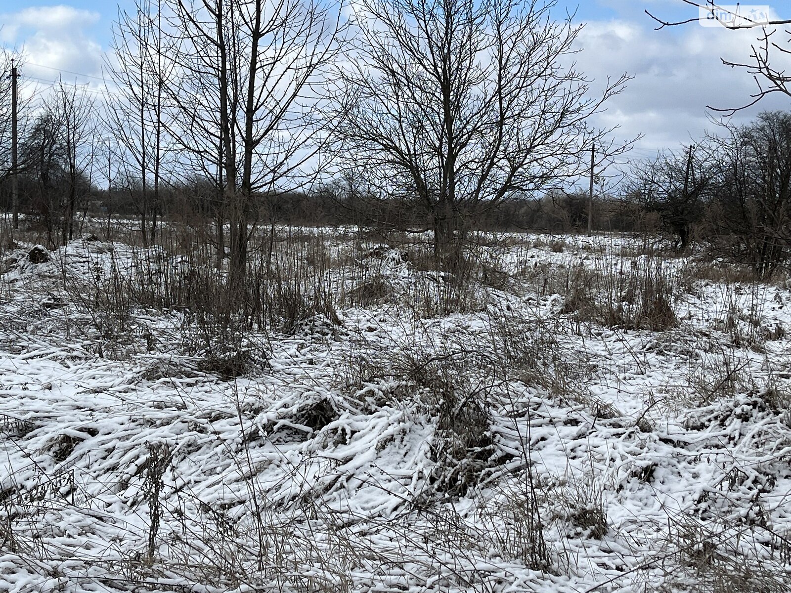 Земельна ділянка сільськогосподарського призначення в Писарівці, площа 10.06 сотки фото 1