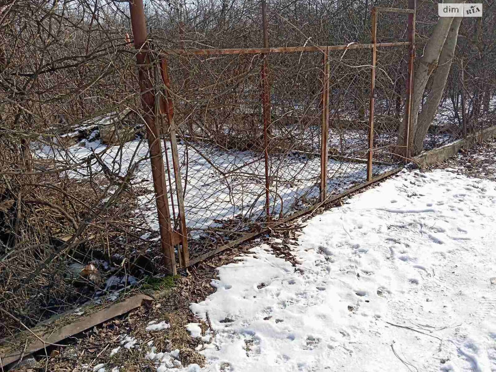 Земельна ділянка сільськогосподарського призначення в Писарівці, площа 4 сотки фото 1