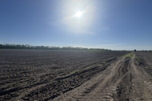 Земельна ділянка сільськогосподарського призначення в Писарівці, площа 2.2 Га фото 2