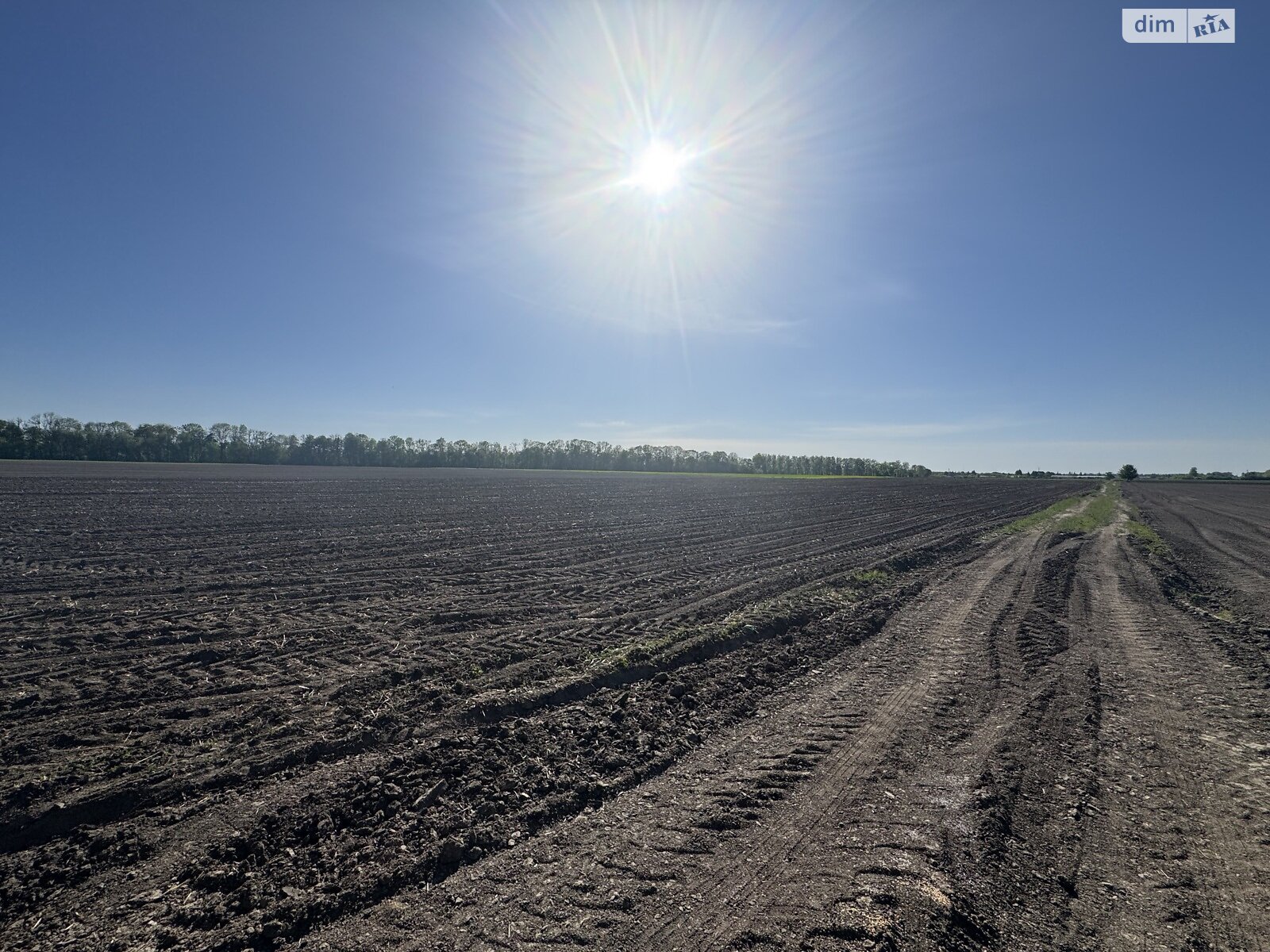 Земельна ділянка сільськогосподарського призначення в Писарівці, площа 2.2 Га фото 1 Земельна ділянка сільськогосподарського призначення в Писарівці, площа 2.2 Га фото 1