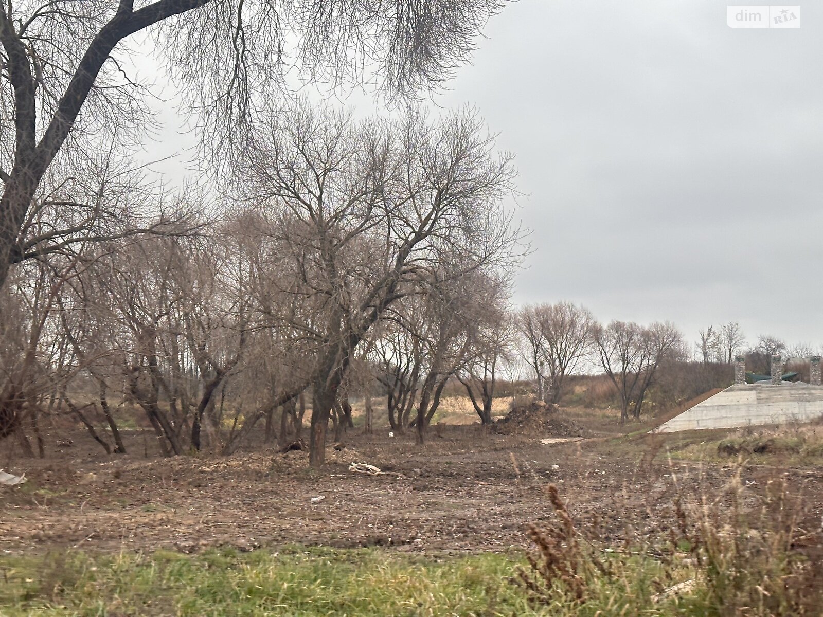 Земельный участок сельскохозяйственного назначения в Писаревке, площадь 16 соток фото 1 Земельный участок сельскохозяйственного назначения в Писаревке, площадь 16 соток фото 1