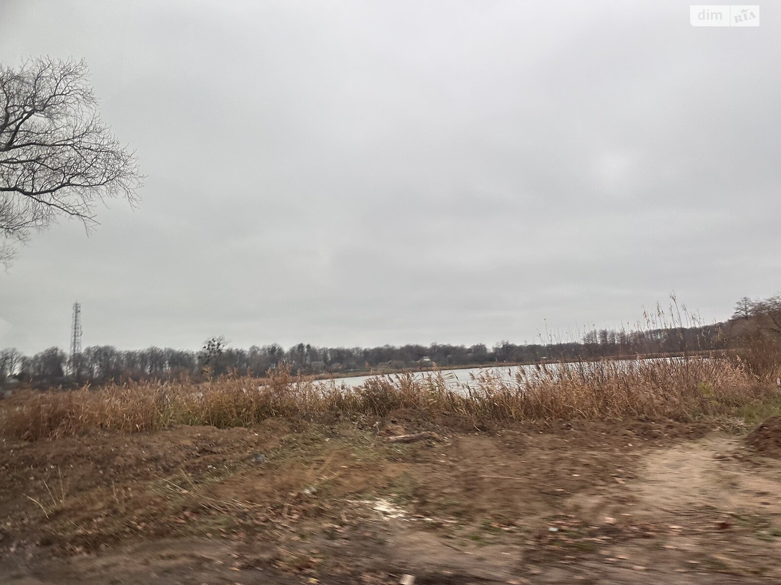 Земельный участок сельскохозяйственного назначения в Писаревке, площадь 16 соток фото 1 Земельный участок сельскохозяйственного назначения в Писаревке, площадь 16 соток фото 1