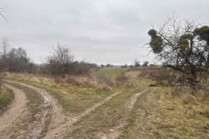 Земельный участок сельскохозяйственного назначения в Писаревке, площадь 16 соток фото 2