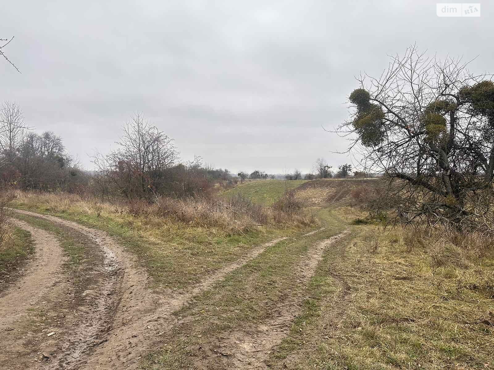 Земельный участок сельскохозяйственного назначения в Писаревке, площадь 16 соток фото 1