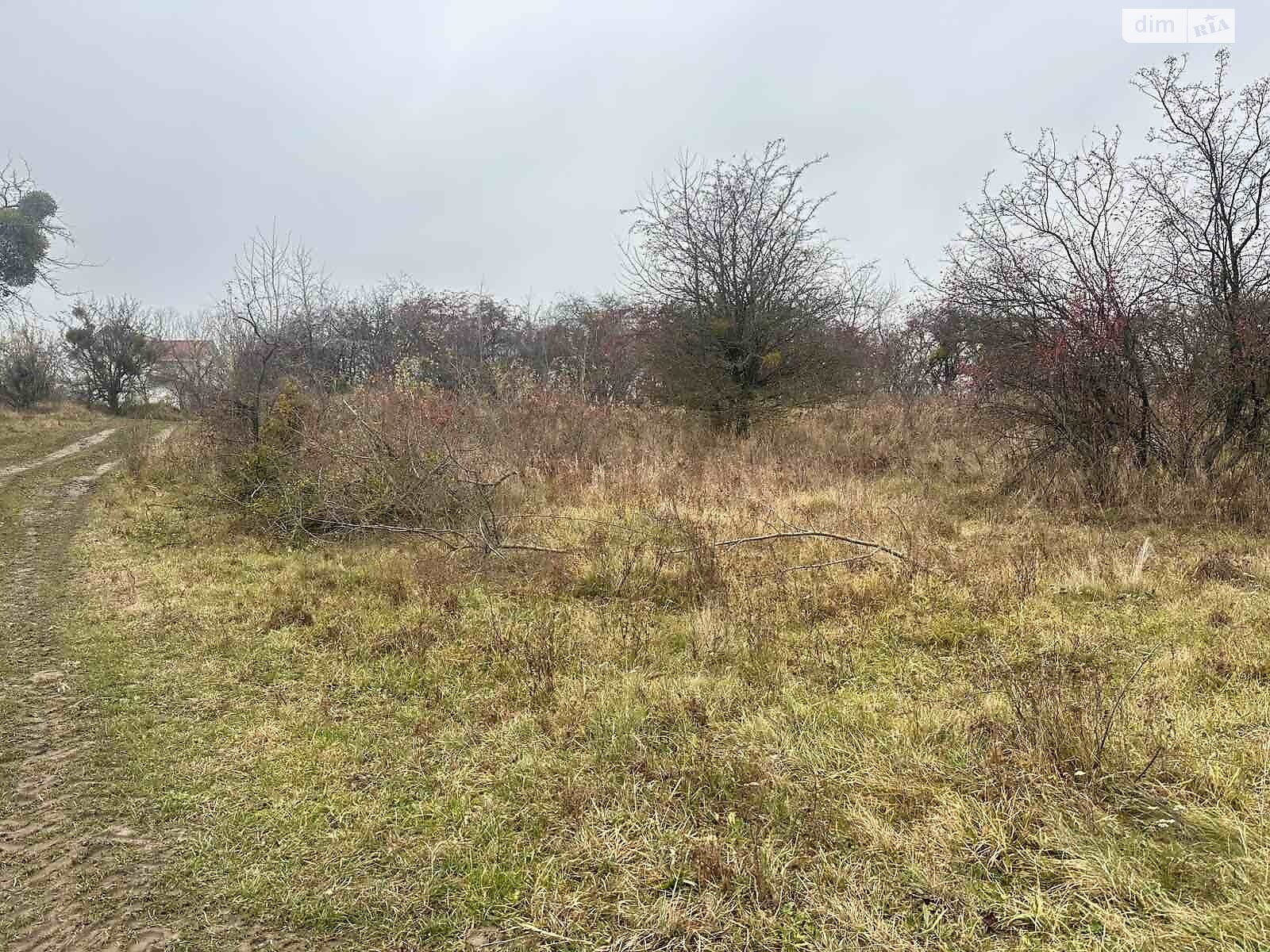 Земельный участок сельскохозяйственного назначения в Писаревке, площадь 16 соток фото 1