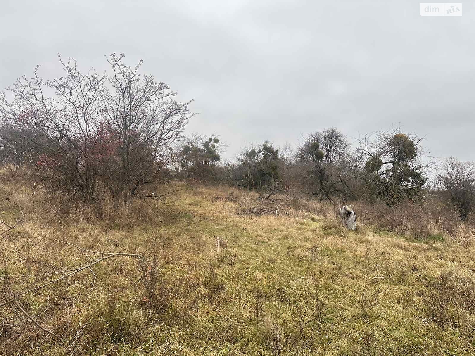 Земельный участок сельскохозяйственного назначения в Писаревке, площадь 16 соток фото 1