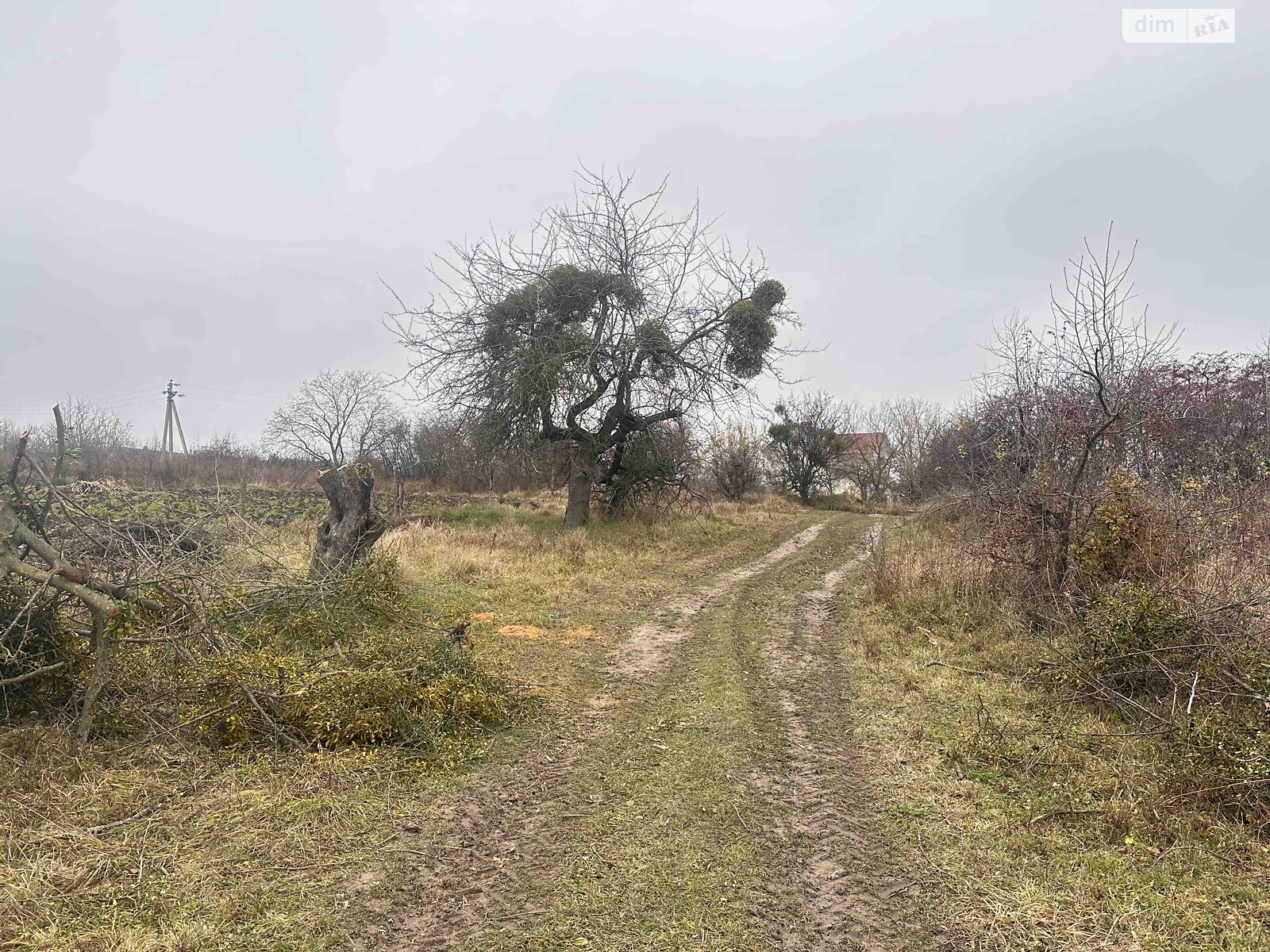 Земельный участок сельскохозяйственного назначения в Писаревке, площадь 16 соток фото 1