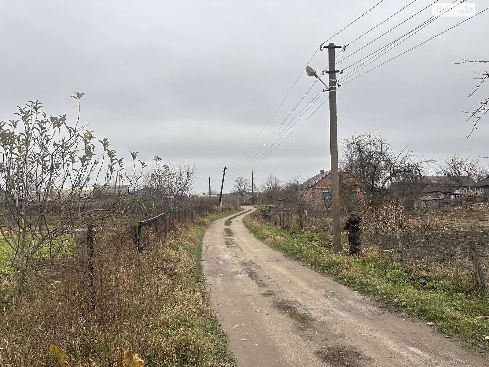 Земельный участок сельскохозяйственного назначения в Писаревке, площадь 16 соток фото 1