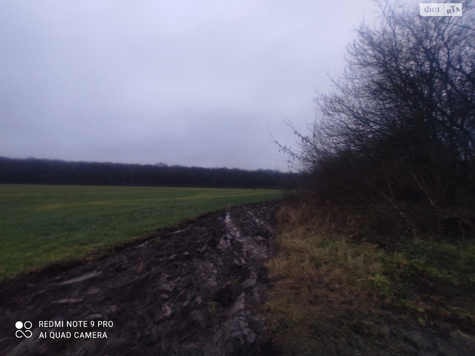 Земельна ділянка сільськогосподарського призначення в Писарівці, площа 2.2 Га фото 1 Земельна ділянка сільськогосподарського призначення в Писарівці, площа 2.2 Га фото 1