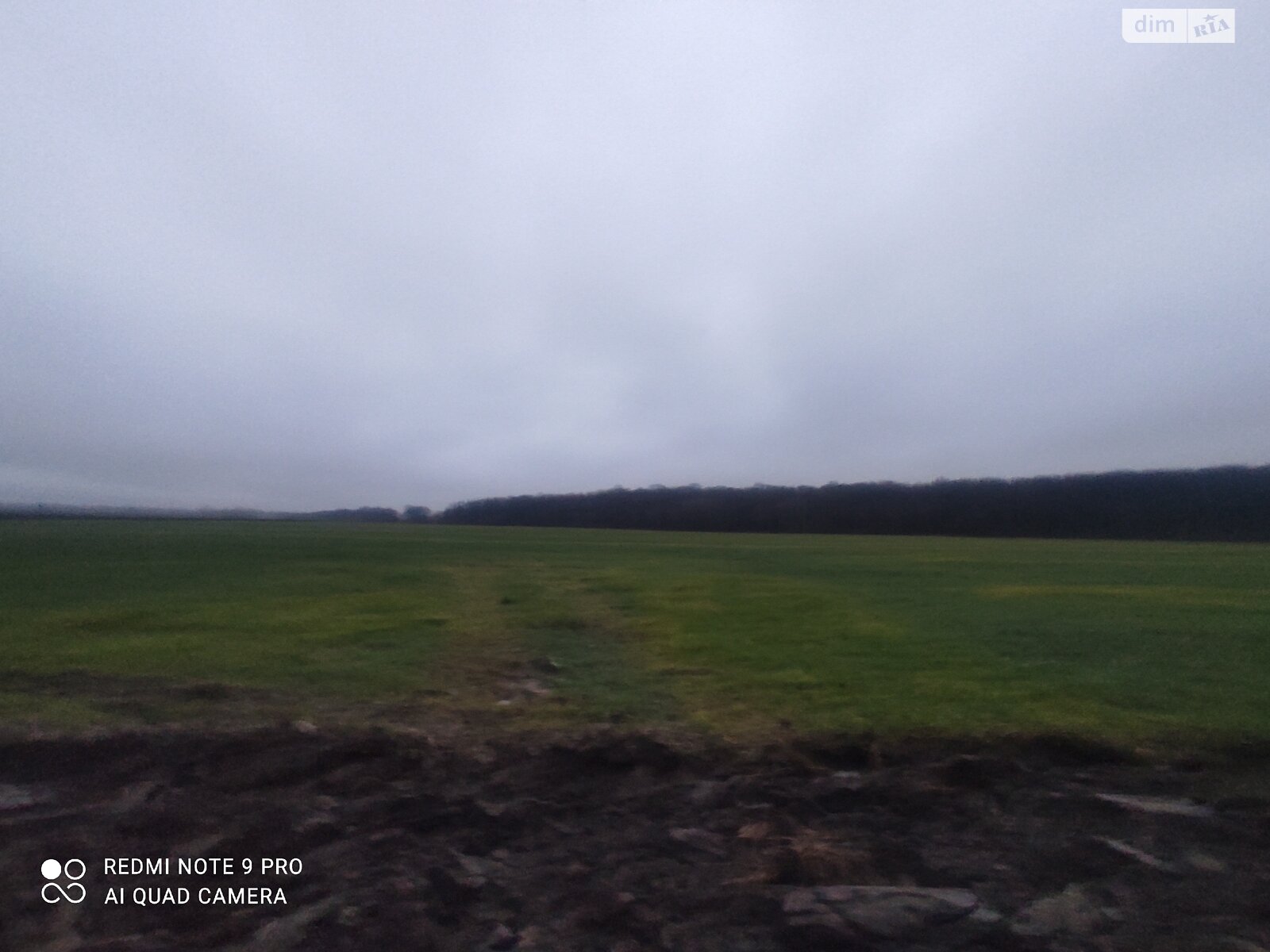 Земельна ділянка сільськогосподарського призначення в Писарівці, площа 2.2 Га фото 1 Земельна ділянка сільськогосподарського призначення в Писарівці, площа 2.2 Га фото 1