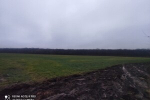 Земельна ділянка сільськогосподарського призначення в Писарівці, площа 2.2 Га фото 2 Земельна ділянка сільськогосподарського призначення в Писарівці, площа 2.2 Га фото 2