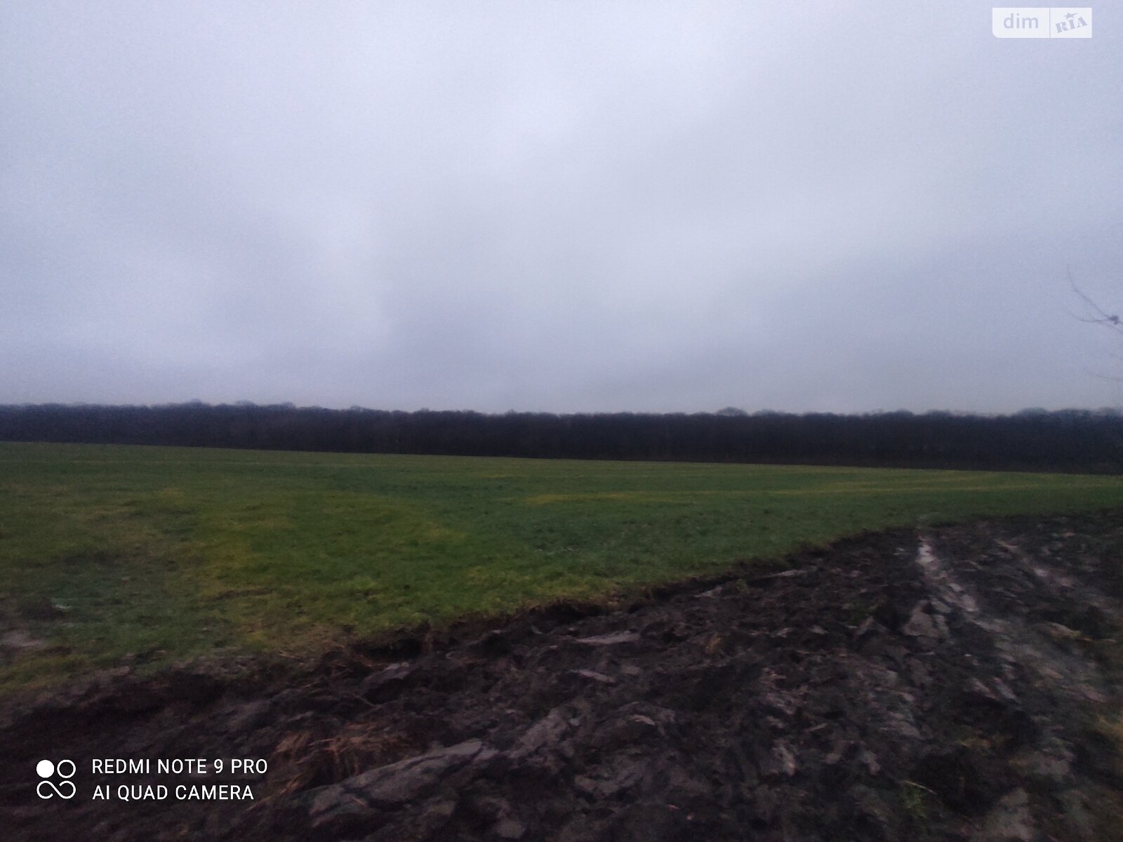 Земельна ділянка сільськогосподарського призначення в Писарівці, площа 2.2 Га фото 1 Земельна ділянка сільськогосподарського призначення в Писарівці, площа 2.2 Га фото 1