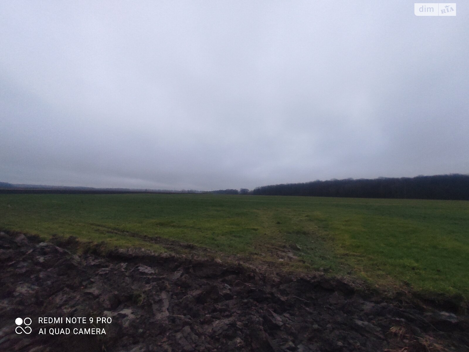 Земельна ділянка сільськогосподарського призначення в Писарівці, площа 2.2 Га фото 1 Земельна ділянка сільськогосподарського призначення в Писарівці, площа 2.2 Га фото 1